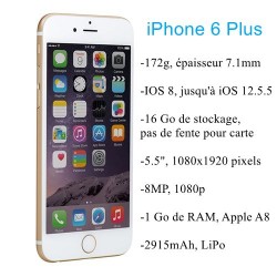 Apple IPhone 6 Plus (Reconditionné)