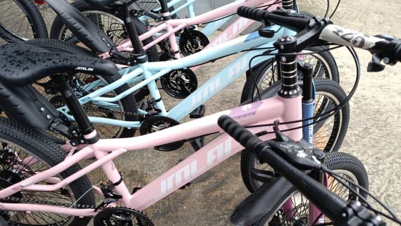 Vélos VTT JIMALIN 22 Pouces | Cadre en Acier Robuste | 21 Vitesses | Double Frein à Disque