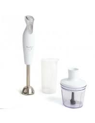 Mixeur Plongeant Dailychef